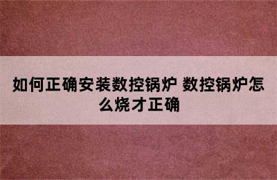 如何正确安装数控锅炉 数控锅炉怎么烧才正确